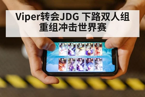 Viper转会JDG 下路双人组重组冲击世界赛