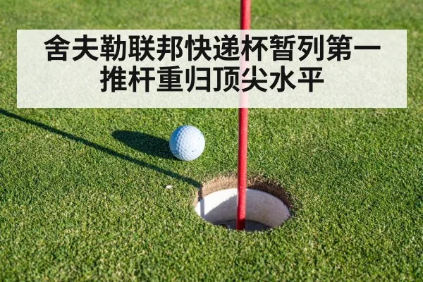 舍夫勒联邦快递杯暂列第一 推杆重归顶尖水平